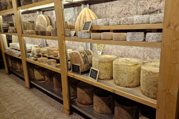 food and wine tasting - my best tour