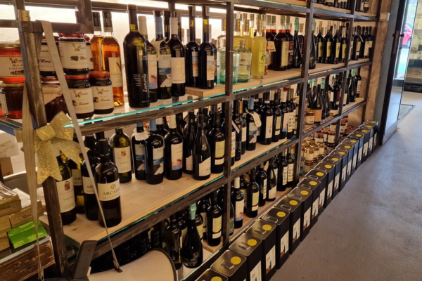 wine tasting in rome